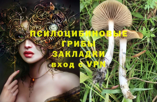 тгк Белоозёрский