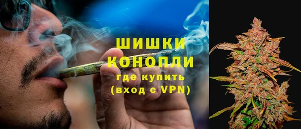 круглые Белокуриха