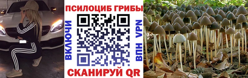 Псилоцибиновые грибы Magic Shrooms  Тимашёвск 